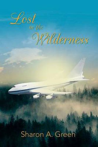 Cover image for Lost in the Wilderness