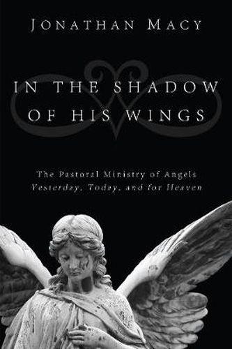 Cover image for In the Shadow of His Wings: The Pastoral Ministry of Angels: Yesterday, Today, and for Heaven