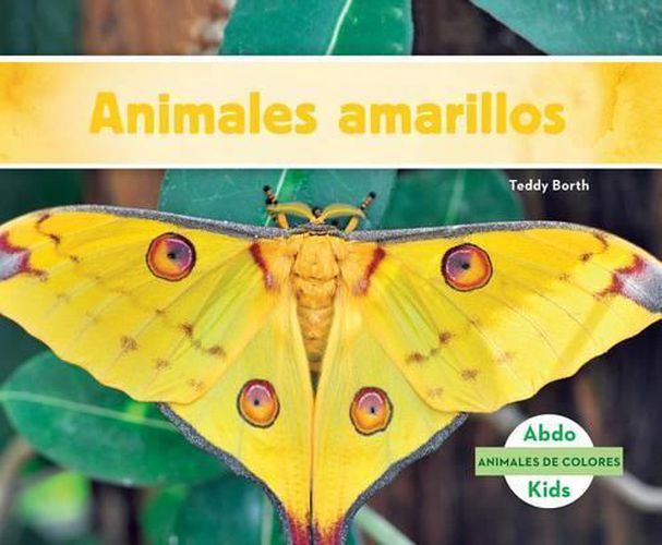 Cover image for Animales Amarillos / Yellow Animals