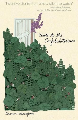 Cover image for Visits to the Confabulatorium