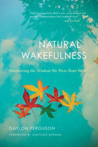 Cover image for Natural Wakefulness: Discovering the Wisdom We Were Born With