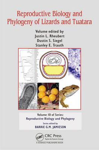 Cover image for Reproductive Biology and Phylogeny of Lizards and Tuatara