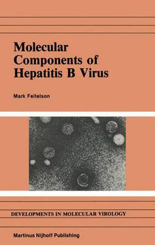 Cover image for Molecular Components of Hepatitis B Virus