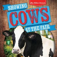 Cover image for Showing Cows at the Fair