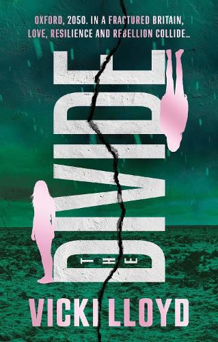 Cover image for The Divide