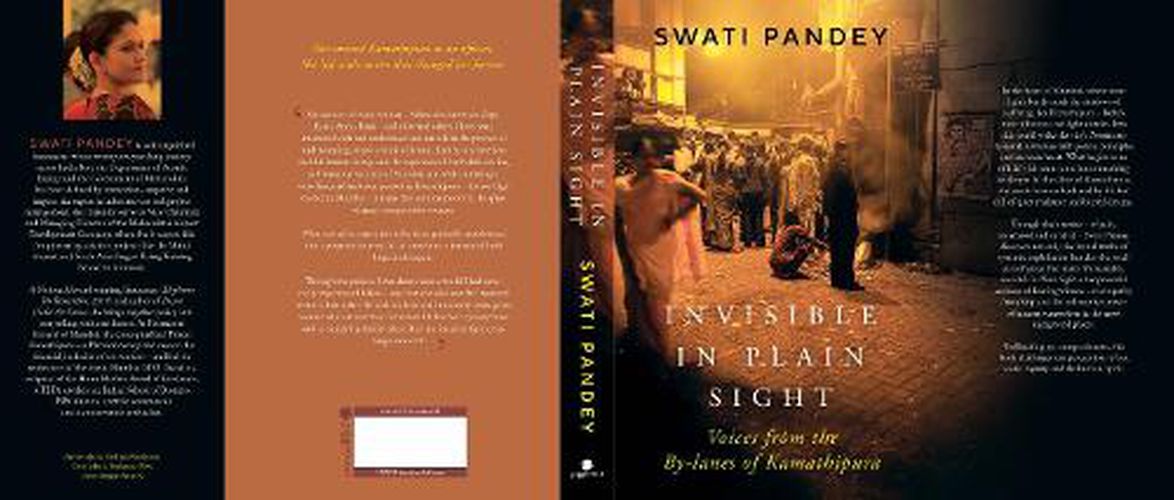Cover image for Invisible in Plain Sight