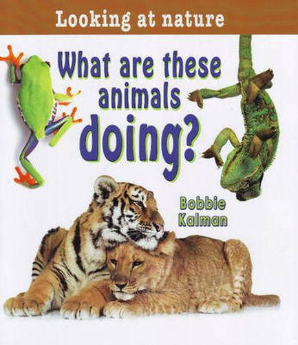 Cover image for What Are These Animals Doing?