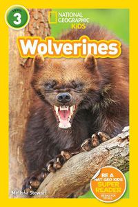 Cover image for National Geographic Readers: Wolverines (L3)