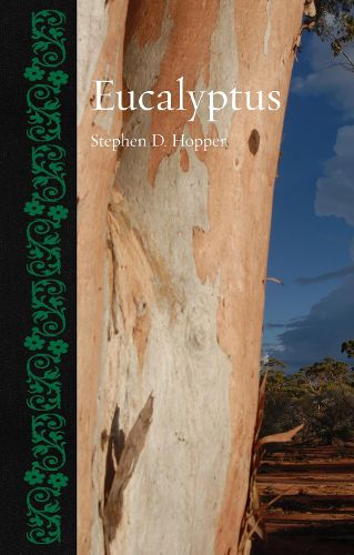 Cover image for Eucalyptus