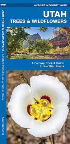 Cover image for Utah Trees & Wildflowers: A Folding Pocket Guide to Familiar Species