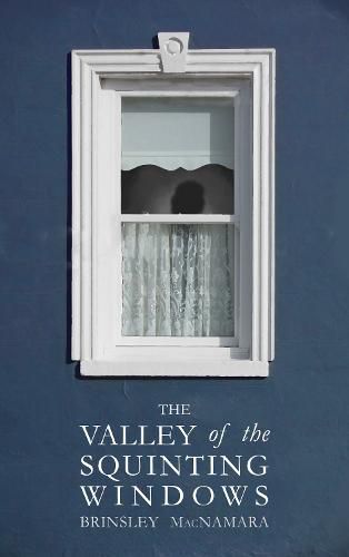 Cover image for The Valley of the Squinting Windows