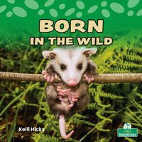 Cover image for Born in the Wild