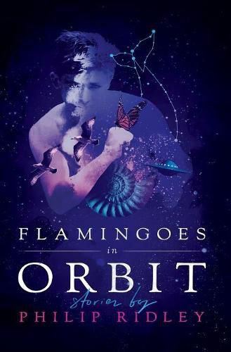 Cover image for Flamingoes in Orbit