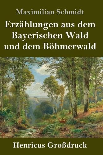 Cover image for Erzahlungen aus dem Bayerischen Wald und dem Boehmerwald (Grossdruck)