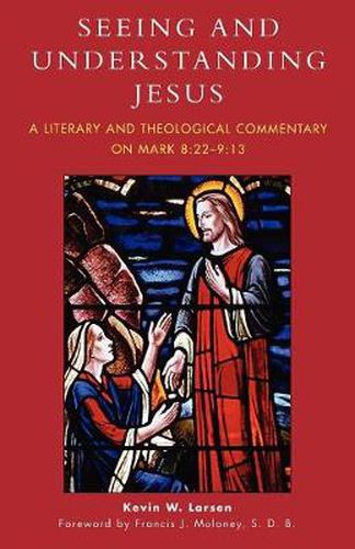 Cover image for Seeing and Understanding Jesus: A Literary and Theological Commentary on Mark 8:22-9:13