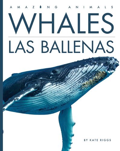 Cover image for Whales / Las Ballenas