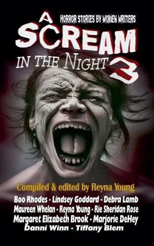 Cover image for A Scream in the Night 3