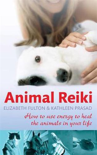 Cover image for Animal Reiki: How to use energy to heal the animals in your life