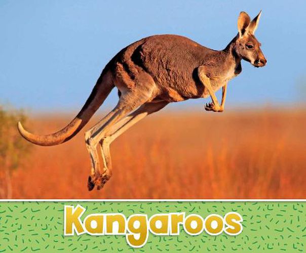 Cover image for Kangaroos