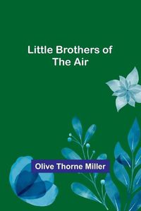 Cover image for Little Brothers of the Air