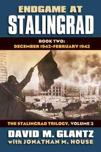 Cover image for Endgame at Stalingrad: The Stalingrad Trilogy, Volume 3: Book Two: December 1942-January 1943