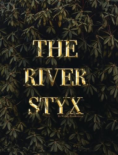 Cover image for The River Styx