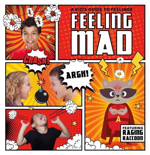 Cover image for Feeling Mad