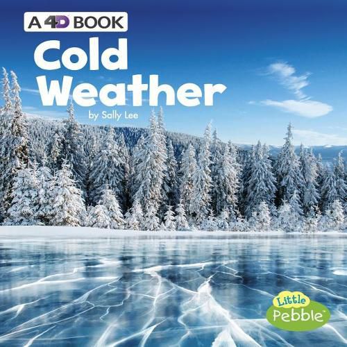 Cold Weather: a 4D Book (All Kinds of Weather)