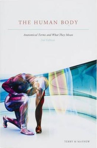 Cover image for The Human Body: Anatomical Terms and What They Mean