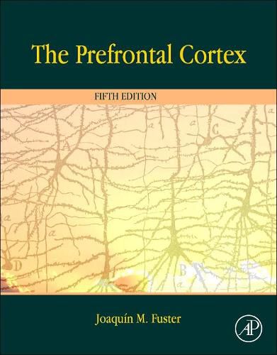 Cover image for The Prefrontal Cortex