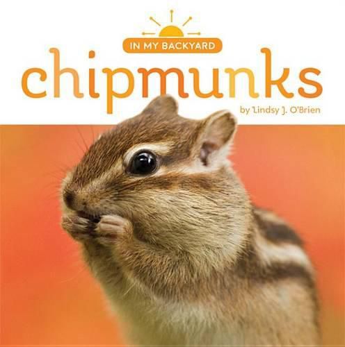 Cover image for Chipmunks