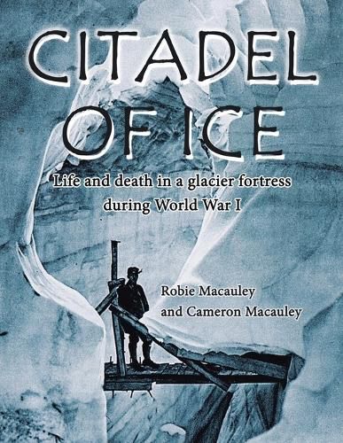 Cover image for Citadel of Ice