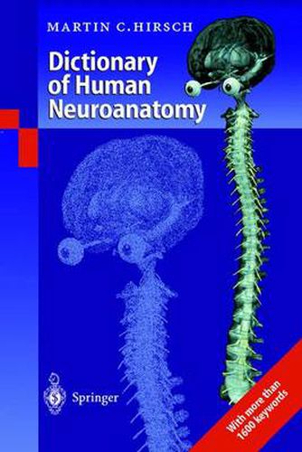 Cover image for Dictionary of Human Neuroanatomy