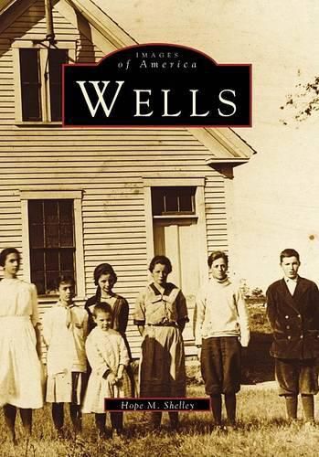 Cover image for Wells