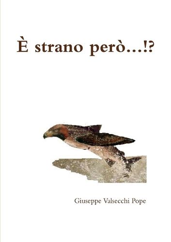 Cover image for E Strano Pero.!.?.