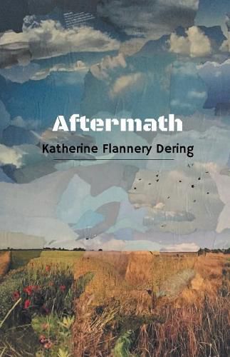 Cover image for Aftermath