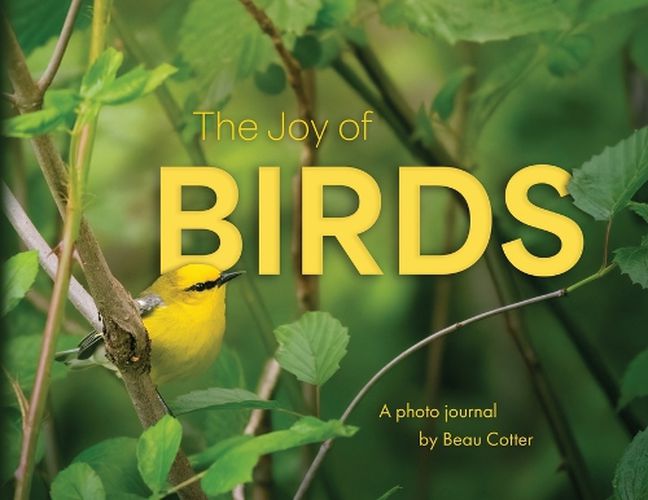 Cover image for The Joy of Birds