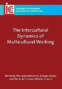 Cover image for The Intercultural Dynamics of Multicultural Working