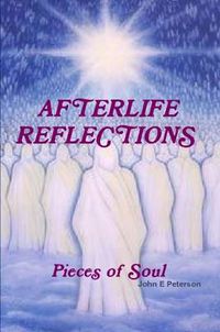 Cover image for Afterlife Reflections