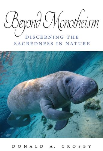 Cover image for Beyond Monotheism
