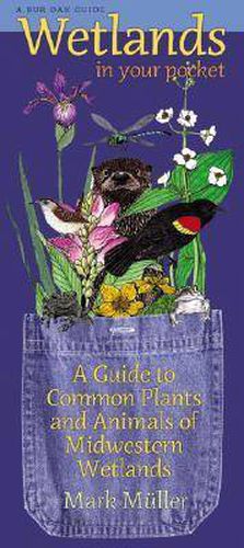 Cover image for Wetlands in Your Pocket: A Guide to Common Plants and Animals of Midwestern Wetlands