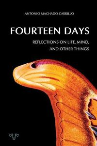 Cover image for Fourteen Days: Reflections on Life, Mind, and Other Things