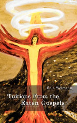 Cover image for Tuitions from the Eaten Gospels