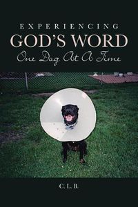 Cover image for Experiencing God's Word One Dog At A Time