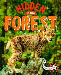 Cover image for Animals Hidden in the Forest