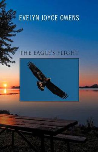 Cover image for The Eagle's Flight