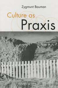 Cover image for Culture as Praxis