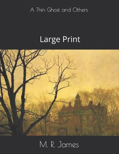 A Thin Ghost and Others: Large Print