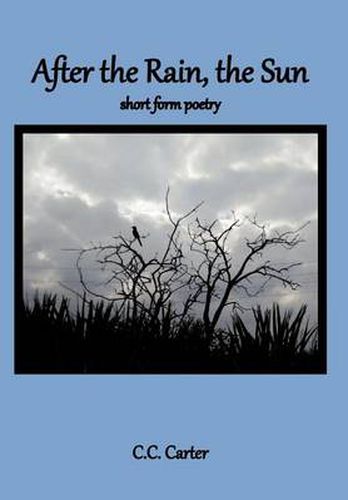 Cover image for After the Rain, the Sun