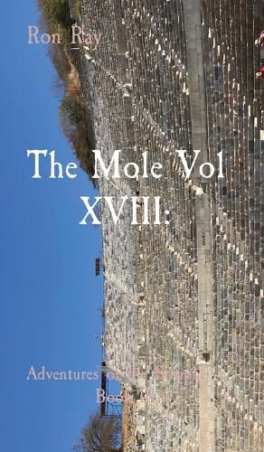 Cover image for The Mole Vol XVIII